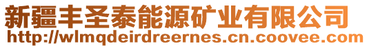 新疆豐圣泰能源礦業(yè)有限公司