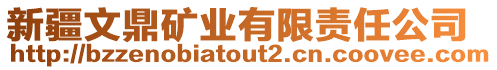 新疆文鼎礦業(yè)有限責(zé)任公司