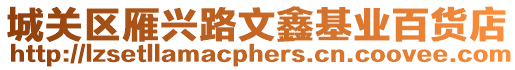 城關區雁興路文鑫基業百貨店