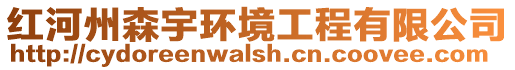 紅河州森宇環(huán)境工程有限公司