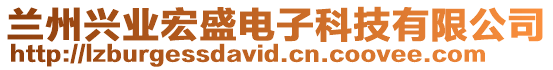 蘭州興業(yè)宏盛電子科技有限公司