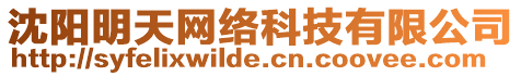 沈陽明天網(wǎng)絡(luò)科技有限公司