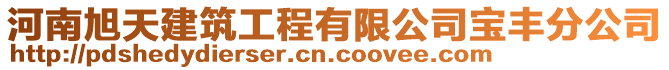 河南旭天建筑工程有限公司寶豐分公司