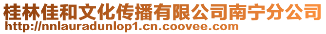 桂林佳和文化傳播有限公司南寧分公司