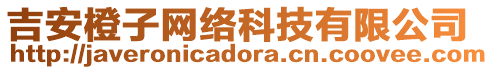 吉安橙子網(wǎng)絡(luò)科技有限公司