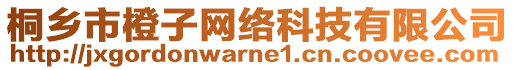 桐鄉(xiāng)市橙子網(wǎng)絡(luò)科技有限公司