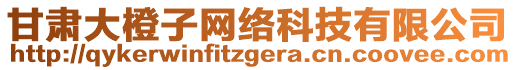 甘肅大橙子網(wǎng)絡(luò)科技有限公司