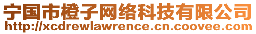 寧國市橙子網(wǎng)絡(luò)科技有限公司