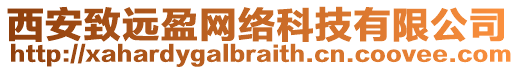 西安致遠(yuǎn)盈網(wǎng)絡(luò)科技有限公司