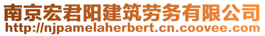 南京宏君陽建筑勞務有限公司