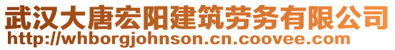 武漢大唐宏陽建筑勞務(wù)有限公司