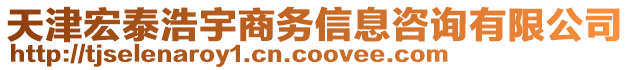 天津宏泰浩宇商務(wù)信息咨詢有限公司