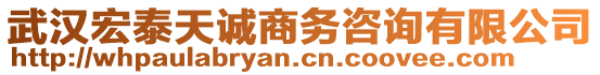 武漢宏泰天誠(chéng)商務(wù)咨詢有限公司