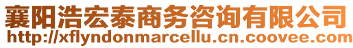 襄陽浩宏泰商務(wù)咨詢有限公司