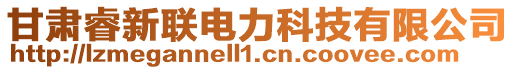 甘肅睿新聯(lián)電力科技有限公司