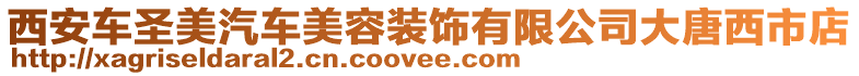 西安車圣美汽車美容裝飾有限公司大唐西市店