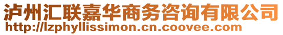 瀘州匯聯(lián)嘉華商務(wù)咨詢有限公司