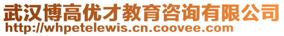 武漢博高優(yōu)才教育咨詢有限公司