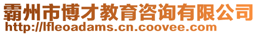 霸州市博才教育咨询有限公司