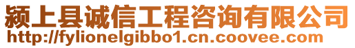 潁上縣誠信工程咨詢有限公司