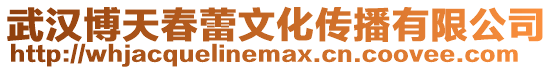 武漢博天春蕾文化傳播有限公司