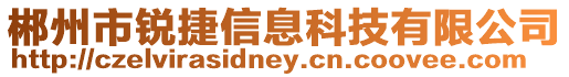 郴州市銳捷信息科技有限公司
