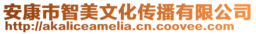 安康市智美文化傳播有限公司