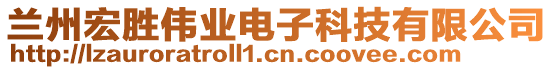 蘭州宏勝偉業(yè)電子科技有限公司