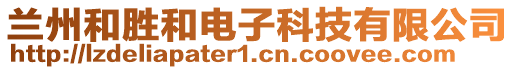 蘭州和勝和電子科技有限公司