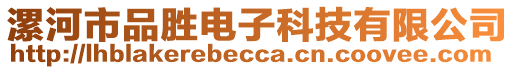 漯河市品勝電子科技有限公司