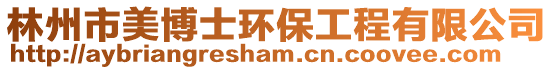 林州市美博士環(huán)保工程有限公司