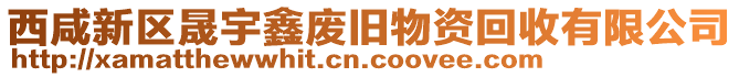 西咸新區(qū)晟宇鑫廢舊物資回收有限公司