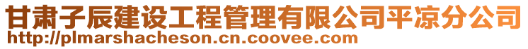 甘肅子辰建設(shè)工程管理有限公司平?jīng)龇止? style=