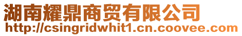 湖南耀鼎商貿有限公司