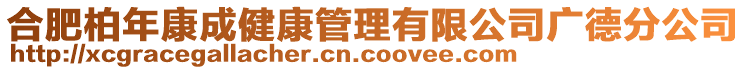 合肥柏年康成健康管理有限公司廣德分公司