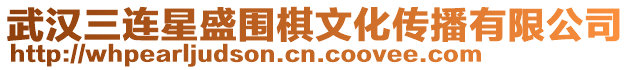 武漢三連星盛圍棋文化傳播有限公司