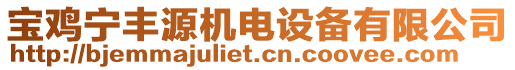 寶雞寧豐源機(jī)電設(shè)備有限公司