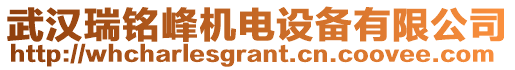 武漢瑞銘峰機(jī)電設(shè)備有限公司