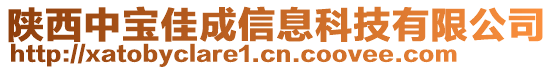 陜西中寶佳成信息科技有限公司