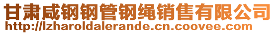 甘肅咸鋼鋼管鋼繩銷售有限公司