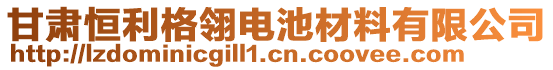 甘肅恒利格翎電池材料有限公司