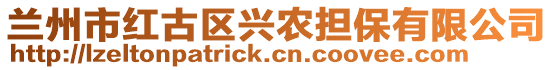 蘭州市紅古區(qū)興農(nóng)擔(dān)保有限公司