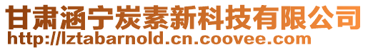 甘肅涵寧炭素新科技有限公司