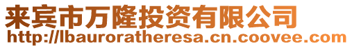 來(lái)賓市萬(wàn)隆投資有限公司