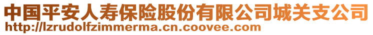 中國平安人壽保險股份有限公司城關支公司