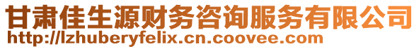 甘肅佳生源財(cái)務(wù)咨詢(xún)服務(wù)有限公司