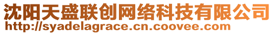 沈陽天盛聯創網絡科技有限公司