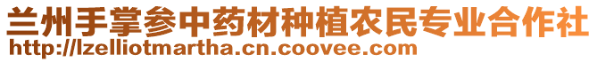 蘭州手掌參中藥材種植農(nóng)民專業(yè)合作社