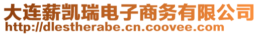 大連薪凱瑞電子商務有限公司