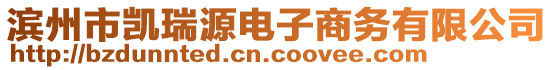 濱州市凱瑞源電子商務(wù)有限公司